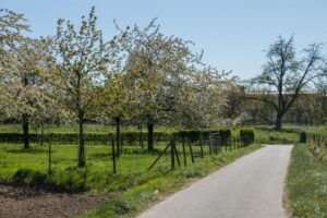 Hart & Ziel Kloetinge maakt meditatieve wandeling