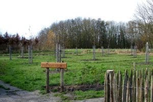 Oostkapelle kleurt groen