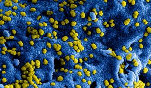 Coronavirus: Veiligheidsregio verbiedt grote bijeenkomsten