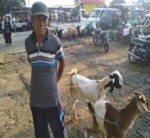 Javaanse kerk ondersteunt boeren bij omschakeling naar online marketing