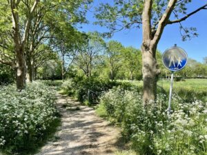 Meditatieve wandelingen in Nisse en Kloetinge