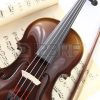 Samen zingen in Duiveland muziek
